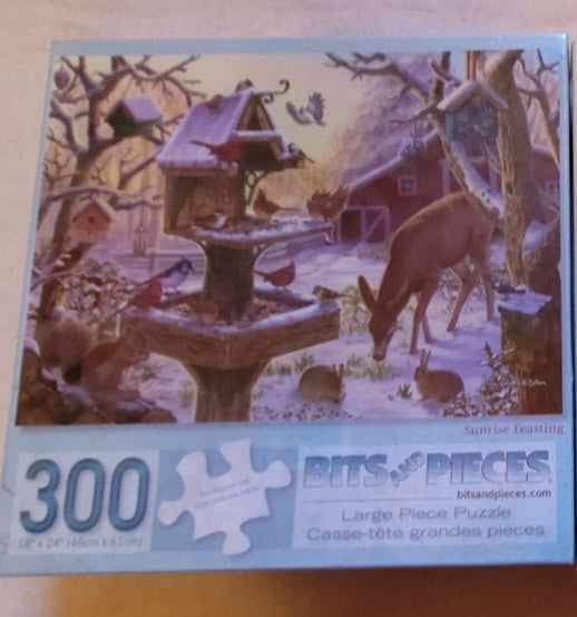 300 piece puzzle