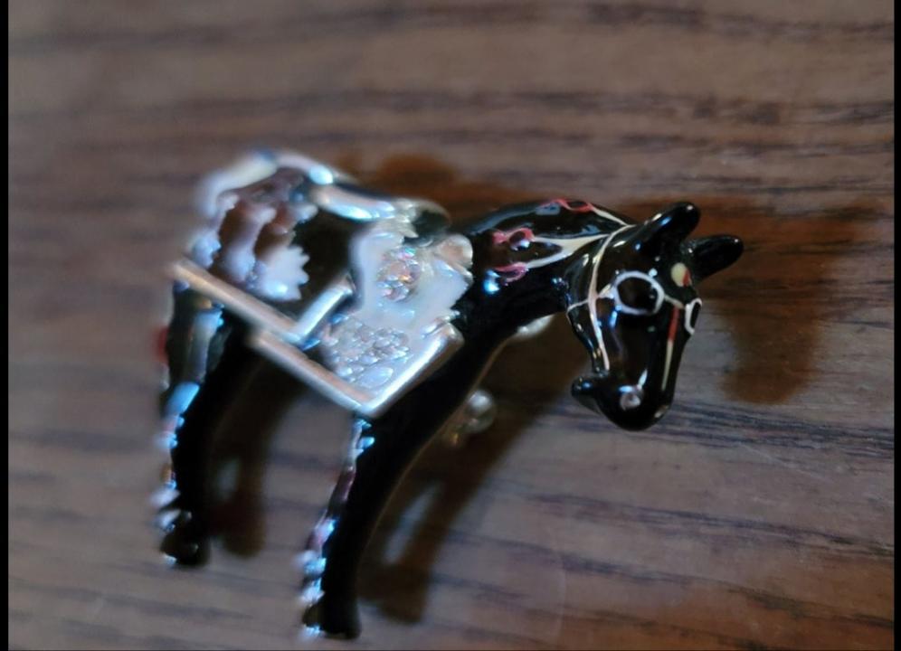 Painted Ponies motorcycle pin